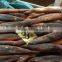 below 150g frozen illex argentinus squid