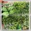 Wholesale Fake Vertical Garden Green Grass Plant Wall Decor for Indoor