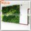 Man-made artificial grass wall plastic artificial plants wall customized artificial plants wall