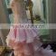 A-line Sweetheart Asymmetrical Taffeta with Beading Sash ball gown prom dress wedding dress P067