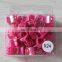 Wholesale Factory Colours Small Size Mini Plastic Hair Claw Clip For Girl