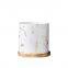 Marbled White And Gold Nordic Ins Style Breathable Succulent Tray Ceramic Vase For Home Gardening