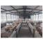 China prefab construction design steel structure pig farm shed with farming equipment