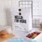 Custom Eco friendly tyvek Lunch bag Insulated Cooler bag,tyvek kraft paper insulated aluminum foil lunch box bag with sn