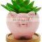 Top Fashion Flower Pot Decor Modern Indoor Terracotta Color Animal Succulent Small Planter Pot
