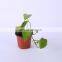 Cheap Nursery Round Planter Bag 10 Plant Seedling Small 4Inch Plastic Flower Pot 8 Inch