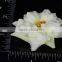 Colorful artificial hydrangea flower, fabric flowers wholesale in China