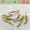wholesale tea china green tea best brands jasmine green tea JGB04