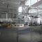 DPP-250 capsule,tablet Alu-Alu Alu-PVC blister packing machine