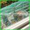 supply high quality orchard anti bird net/nylon anti bird net/vineyard anti bird net