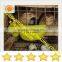 300 birds quail egg laying cages and automati drinker system