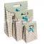 Wholesale China Factory OEM Paper Gift Bag Shopping Package Bags