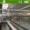 Factory produced layer bird chicken farm cage