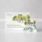 S-Shaper Slimming Detox Dried Plum Weight loss Green Plum Beauty Fruit For Digestion