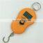 High quality 10~45kg portable digital hanging fish weight scale