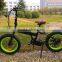 New Fashion mini foldable e-bike 36v 350w with 20"*4.0 fat tire