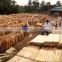 Kiln dried eucalyptus core veneer in Vietnam