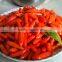 Chinese wolfberry goji berry
