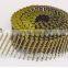 common coil nails/wire coil nails Made in china