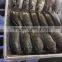 Wholesale Frozen Tilapia Fish W/R for export