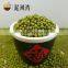Sprouting Green Mung Bean and sale 2016 crop with high quality