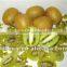 2016 New Crop Fresh Kiwi Fruit With Reasonable Price