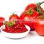 tomato paste with drum packing/WoCanned Tomato Paste, Sachet Tomato Paste, Tomato Sauce, Tomato Puree, Tomaoden bins/Tin Packing