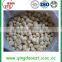 Frozen garlic in china shandong province