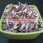 HIGH QUALITY ONION FLAKES / KIBBLED RED FOR SELL