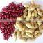 high demand exprt product Factory directly sales peanuts kernel/roasted red skin/blanched/fried/roasted