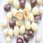 Palarich 2016 hot selling delectable fruit grape chocolate crisps 008
