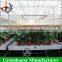 Galvanized wire mesh greenhouse rolling benches