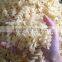 Fully Automatic Macaroni pasta/Italian pasta/spaghetti pasta food processing line with CE