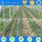 TS irrigation green house drip irrigation system saving water products sample