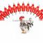 Automatic poultry nipple drinker for poultry and birds