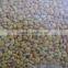 100% high quality china pine pollen powder