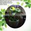 Agricultural fertilizers ,expanded clay aggregate for growing plants