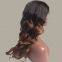 human hair full lace wig