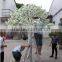 Artificial White Cherry Blossom Tree for Wedding Landscape Decoration