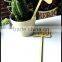 Nursery Labels Plant Tags