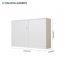 luoyang fenglong sliding 2 doors iron/metal/steel file cabinet
