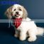 2017 Hot Sales Polyester Triangle Printed Logo Dog Bandana Custom