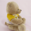 Wholesale Mini Teddy Bear Stuffed Custom Small Clothes Teddy Bear Plush Toy With T Shirts