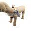 Simple design pet harness factory price high quality dog harness