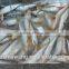 Hot sale Frozen Fish Sardinella lemuru Whole Round Exporting