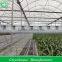 PEP Plastic Dome Greenhouse