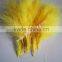 Wholesale Cheap DIY Craft Turkey Marabou Feather For Feather Mask And Feather Boa