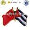 custom metal double flag lapel pin