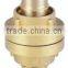 Brass British Type Coupling