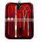 Fine Zippy Dissection Kit